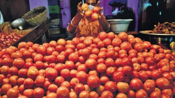 Tomatoes are selling at Rs.120 in Koyambedu Market, Chennai Tomatoes are selling at Rs.120 in Koyambedu Market, Chennai