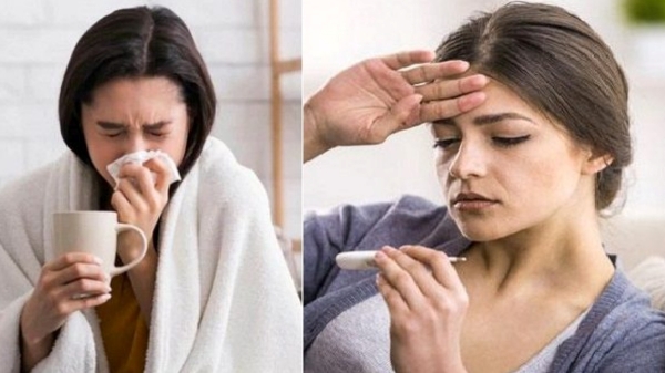 Do you know the symptoms of Dengue fever? 