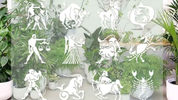 Vastu tips for garden: Trees link with astrology Vastu tips tree for 12 zodiac signs 