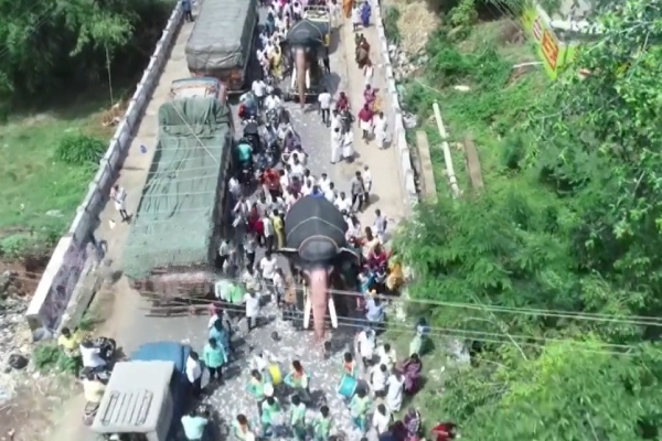 good motivation and uncle given seer varisai bullock carts culture in Madurai Usilampatti good motivation and uncle given seer varisai bullock carts culture in Madurai Usilampatti