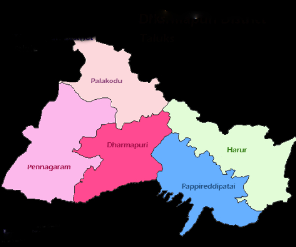  Dharmapuri gambling gangs with alcohol and curry party for rs 10000