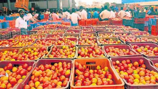When will tomato price drop in Tamil Nadu? Good news from vegetable seller 