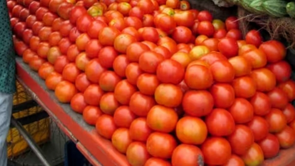 Tomatoes prices are gone down massively today as Ration Shops sell in low price in Tamil Nadu Tomatoes prices are gone down massively today as Ration Shops sell in low price in Tamil Nadu