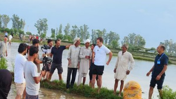 Congress leader Rahul Gandhi helps to plant paddy in Haryana and drove tractor Congress leader Rahul Gandhi helps to plant paddy in Haryana and drove tractor