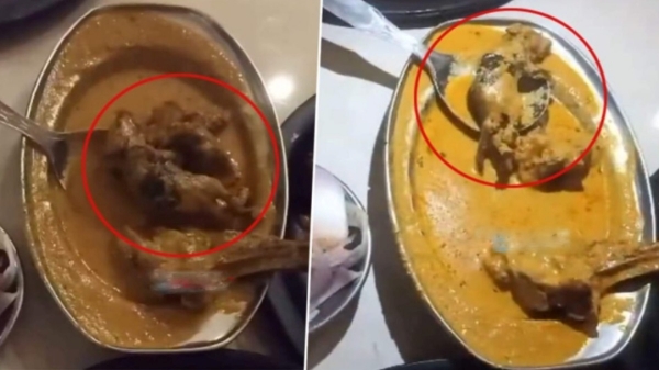 Mutton Food with Rat Meat and what happened in Ludhiana Famous Hotel 
