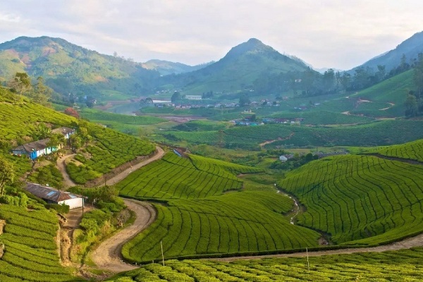 How to go to Meghamalai Tour? Where is it located? 