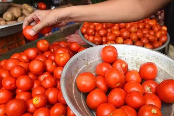 Minister Udhayanidhi stalin urges bjp government to control price hike including tomato