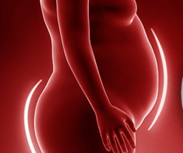 Health Amazing Tips and do you know Tandoori Chicken is the Best Health food for weight loss Health Amazing Tips and do you know Tandoori Chicken is the Best Health food for weight loss