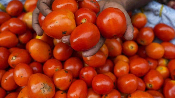  How a maharashtra farmer becomes millionaire just by selling tomato