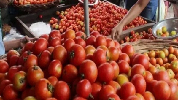  How a maharashtra farmer becomes millionaire just by selling tomato