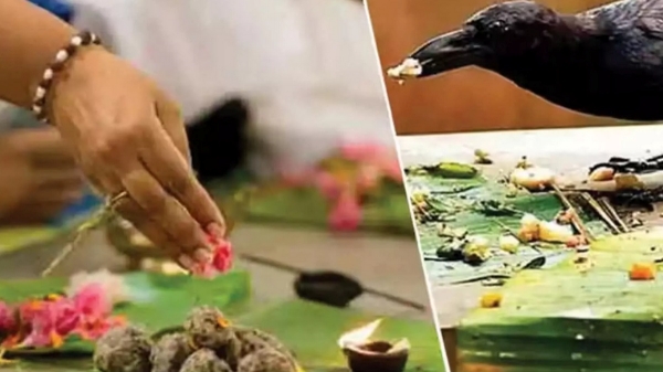 Amavasai Neethar kadan: Pitru kadan trend will remove dhosam good will happen 