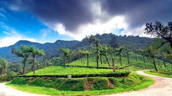 There is no restriction on the travel of tourists by government buses to manjolai tirunelveli 
