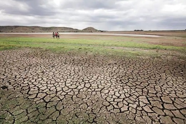 Drought in TN Agriculture affected in 25 circles in 6 districts Government announced Drought in TN Agriculture affected in 25 circles in 6 districts Government announced