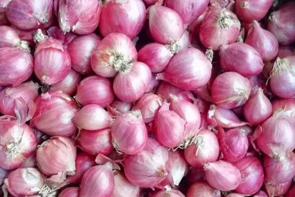 Govt has no plan for agriculture: NTK Chief co ordinator Seeeman Slams 