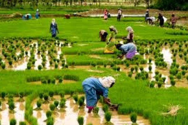  Cauvery water released from karnataka for the First time in this year