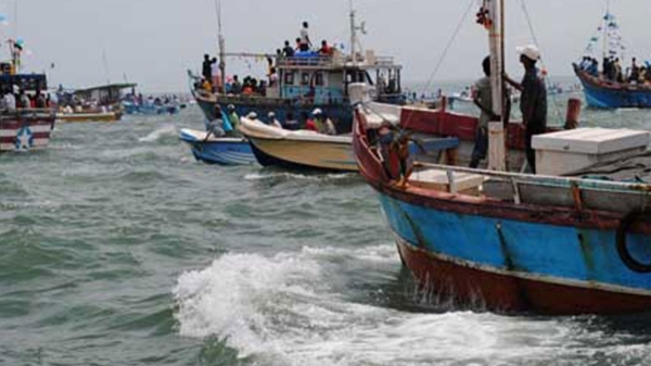 Fishermen fear going to sea as gray whales roam the coast near Chennai Fishermen fear going to sea as gray whales roam the coast near Chennai