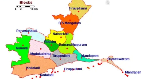 Health Benefits of Oriya Fish and do you know about this Costly Vilai Meen specialities