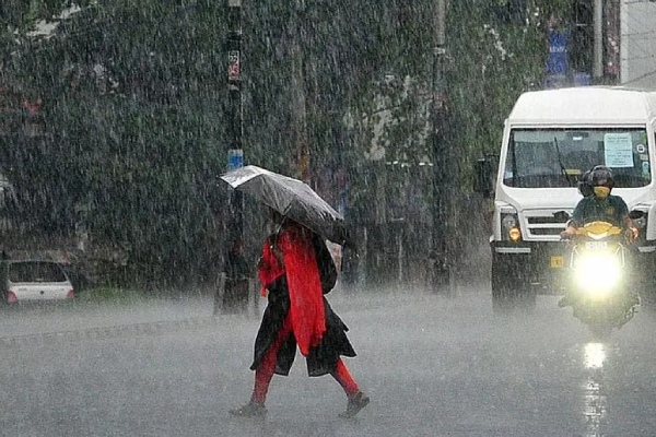 Meteorological Department has issued orange alert for 4 districts as Monsoon has intensified in Kerala 