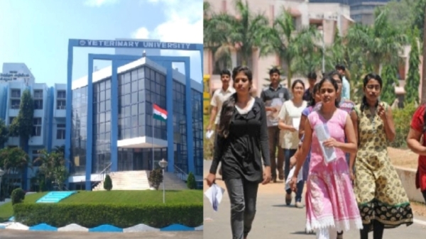 Rank list for veterinary medical science admissions released: When will counselling start? Rank list for veterinary medical science admissions released: When will counselling start?