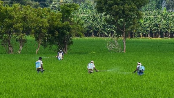 Kuruvai Cultivation Sirappu Thoguppu Chief Minister Stalin announces good news to delta farmers Kuruvai Cultivation Sirappu Thoguppu Chief Minister Stalin announces good news to delta farmers