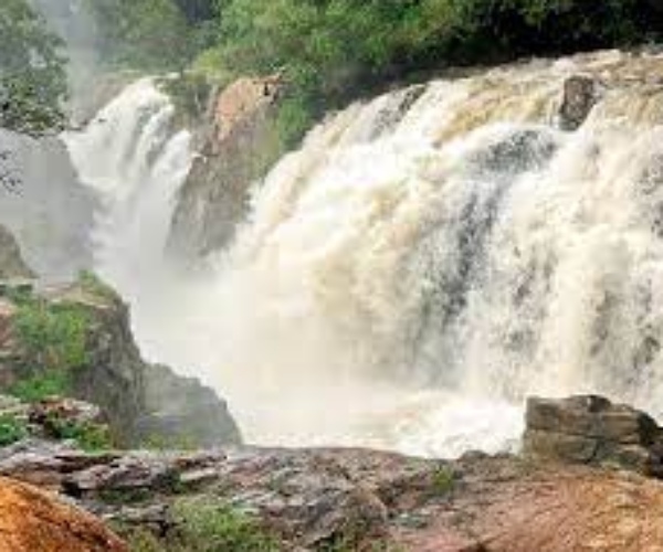 Flood alert in Cauvery Bathing restrictions at Hogenakkal falls 