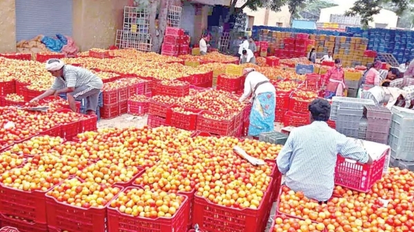 Tomato price again raised by rs 10 in Koyambedu market
