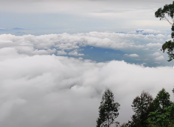 Do you know vellagavi the heart of Kodaikanal? Life time settlement if you show better trucking than this 