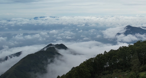 Do you know vellagavi the heart of Kodaikanal? Life time settlement if you show better trucking than this 