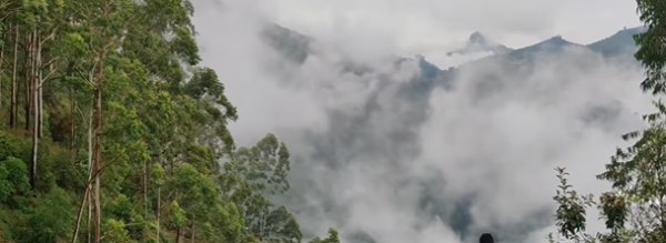 Do you know vellagavi the heart of Kodaikanal? Life time settlement if you show better trucking than this 