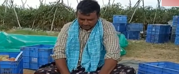 Andhra tomato farmer who earned Rs 4 crore in 45 day, secret he happily shared about his income Andhra tomato farmer who earned Rs 4 crore in 45 day, secret he happily shared about his income