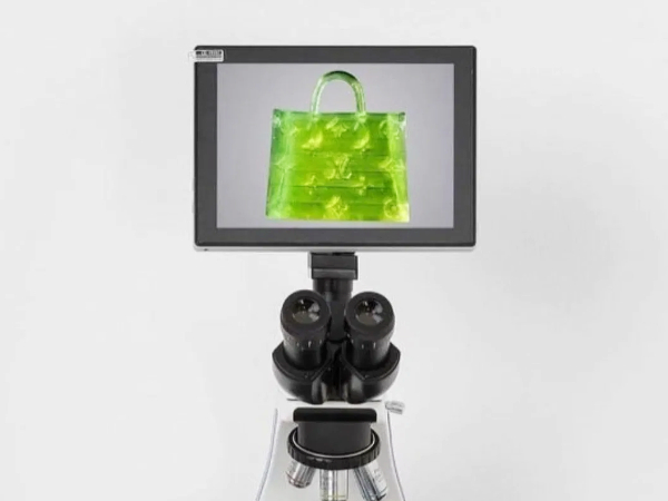  Netizens Are Baffled to see Worlds Smallest Handbag sold Rs. 51 Lakh