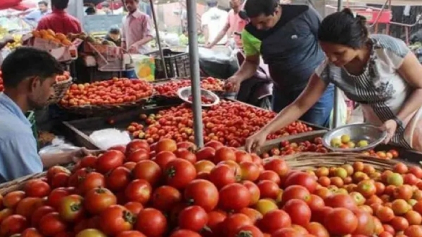 Tomatoes price hiked Rs 10 more in Koyambedu Market Chennai: selling at Rs 130 per kg Tomatoes price hiked Rs 10 more in Koyambedu Market Chennai: selling at Rs 130 per kg