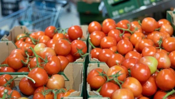 vivek and vadivelu Memes are circulating a lot about the increase in tomato prices 