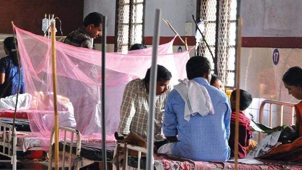 tamilnadu intensifies security measures in border districts amid rat flu outbreak in kerala 