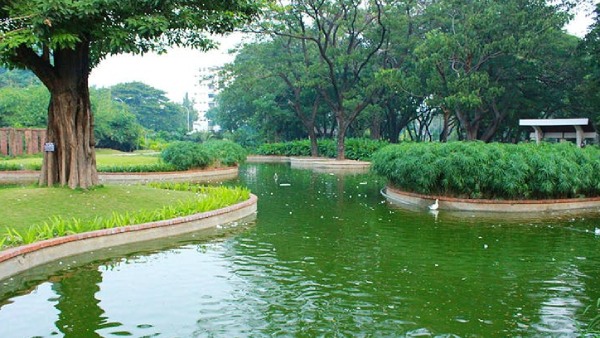  Chennai parks to be developed like Singapore parks? Report says Tamil Nadu Government consider