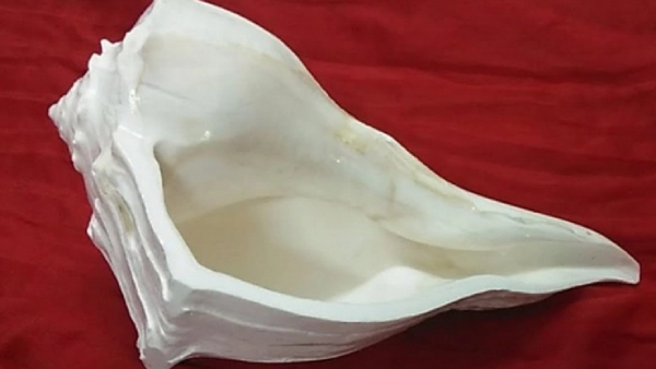 Vastu Tips valampuri sangu: Valampuri Sangu Veetil vaithal enna palan 