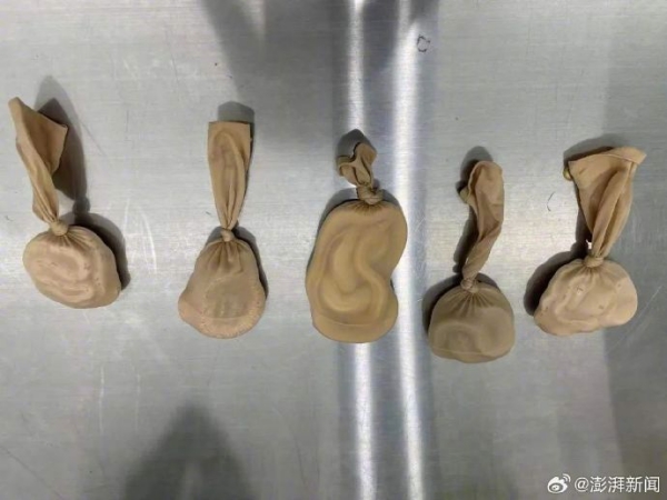 A China Woman smuggle 5 Live Snakes on her body 