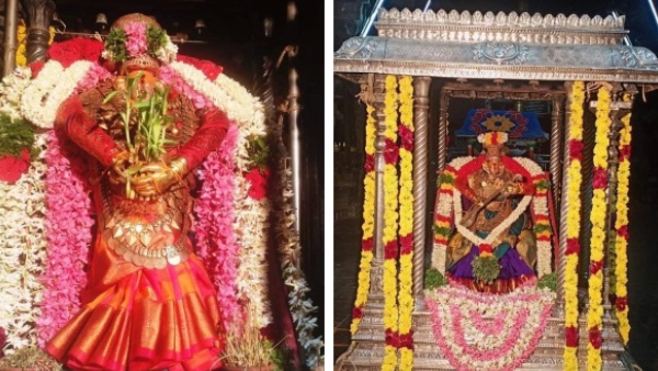 Aadi Thabasu Festival Today at Sankara Narayana Swamy Temple in Sankarankovil 