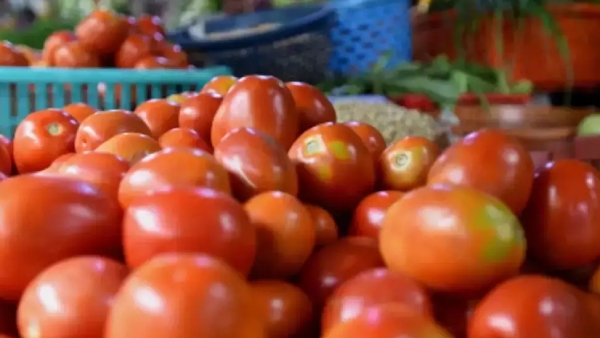 Do you know one kg of full chicken price is less than 1kg tomato price? Do you know one kg of full chicken price is less than 1kg tomato price?