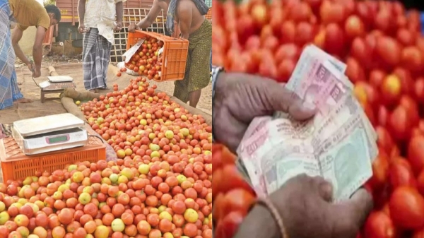 Chennai Koyambed Market vegetable today price list and Tomatoe price maintained Rs.140 per kg 