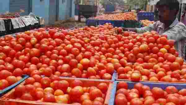 McDonalds say it would not be able to serve its products with tomatoes due to quality issues 