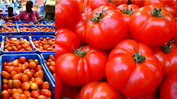 Do you know one kg of full chicken price is less than 1kg tomato price? Do you know one kg of full chicken price is less than 1kg tomato price?