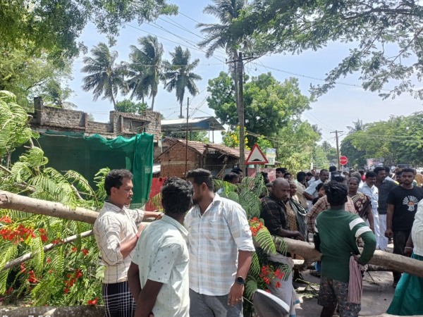 Thanjavur : A young girl died while driving in Kumbakonam after falling from a tree 