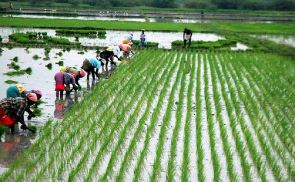 What are the reasons why super rich population has been increasing in rural areas of India than cities?