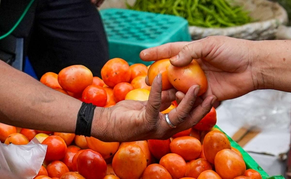 tomato was sold for Rs 50 per kg in Andhra Pradesh by farmer 