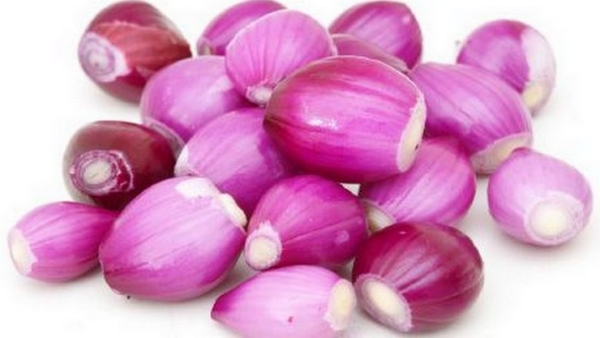 Health Benefits of Small Onions and Do you know eat Raw Onion to prevent premature ejaculation