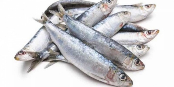  Health Benefits of Fish Bones and Do you know Calcium Rich Food is Fish Bones 