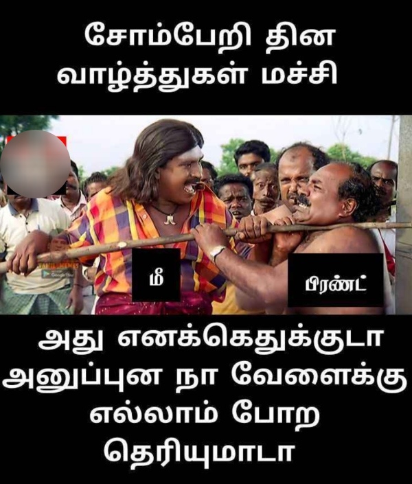 National Lazy day: Funny Memes collection on lazy day