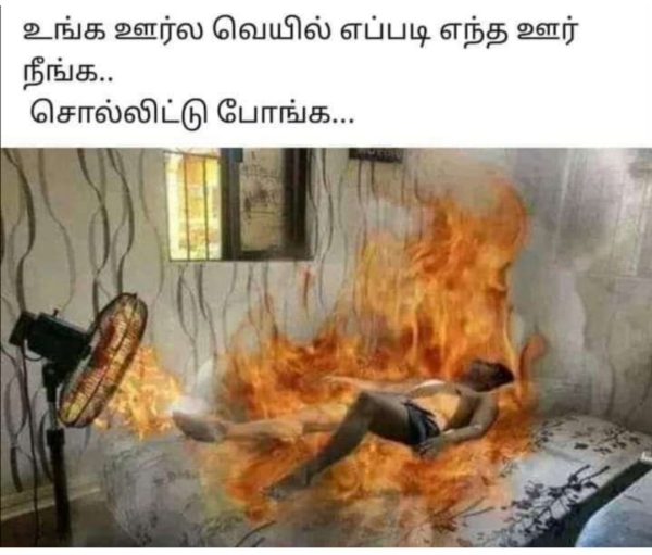 Funny memes collection on summer heat 23-08-2023