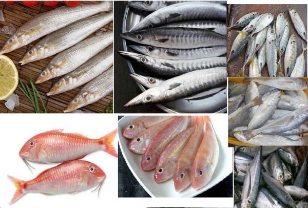 Do you know about Health Benefits of Karapodi Fish and Do you know Ayirai Fish is the Good for Lungs Do you know about Health Benefits of Karapodi Fish and Do you know Ayirai Fish is the Good for Lungs